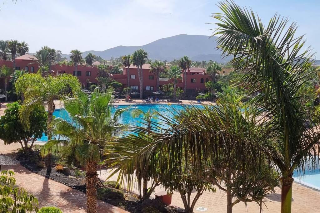 Appartamento Frangipani Con Terrazza E Piscina Corralejo Exterior photo